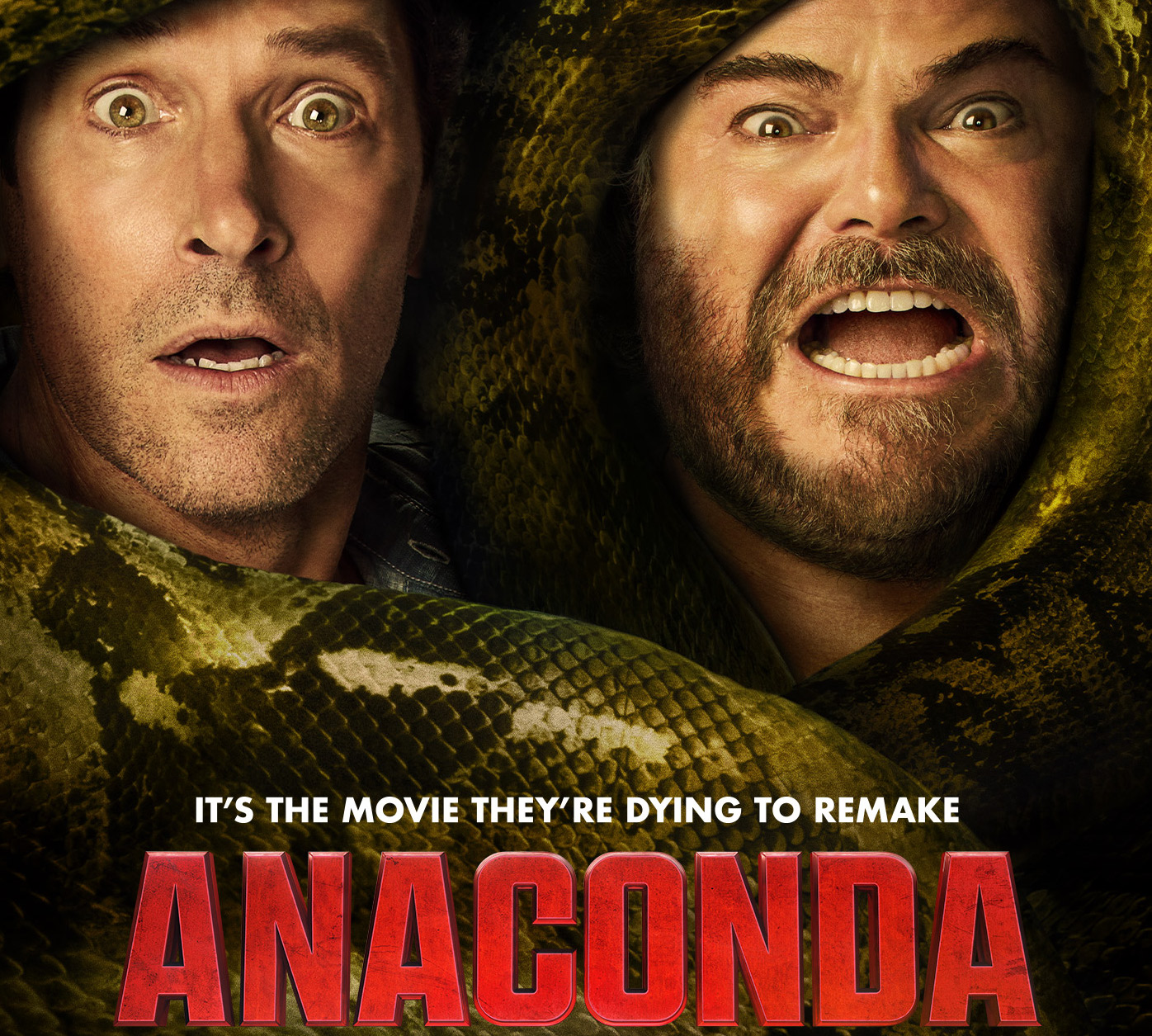 Anaconda Eats Own Tail